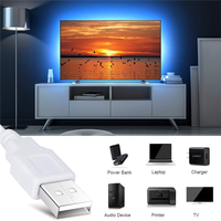 Taśmy LED światła Bluetooth USB zasilany taśma ze światełkami LED z pilot zdalnego sterowania RGB 2835 zmiana koloru telewizor LED podświetlenie do wystroju domu 3
